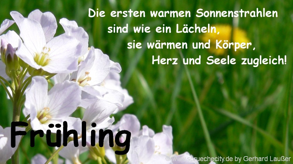 schöne Zitate zum Frühling kurze Frühlingssprüche