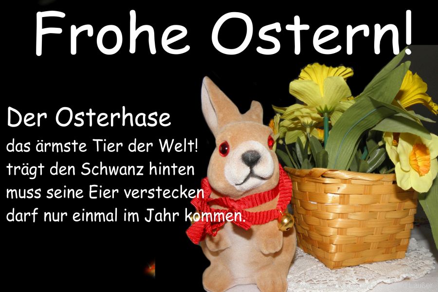 lustige-spruechebilder-frohe-ostern-witzig-osterhase-frech