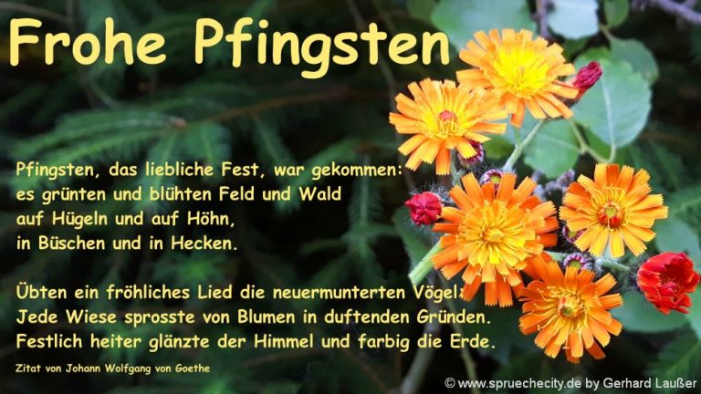 Lustige frohe Pfingsten Sprüche kurze Texte für SMS kostenlose Zitate