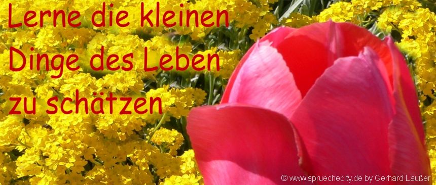 Beste Spruche Der Welt Coolste Zitate Ever Gute Verse Und Gedichte