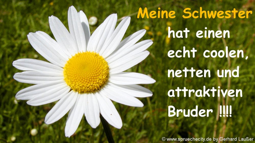 Und schwester gedicht bruder Bruder und