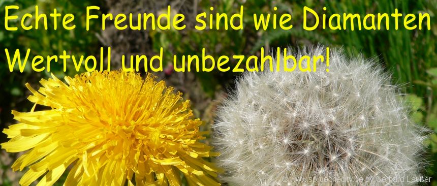 5 Grunde Weshalb Wir Beste Freunde Sind Freundschaft Zitate