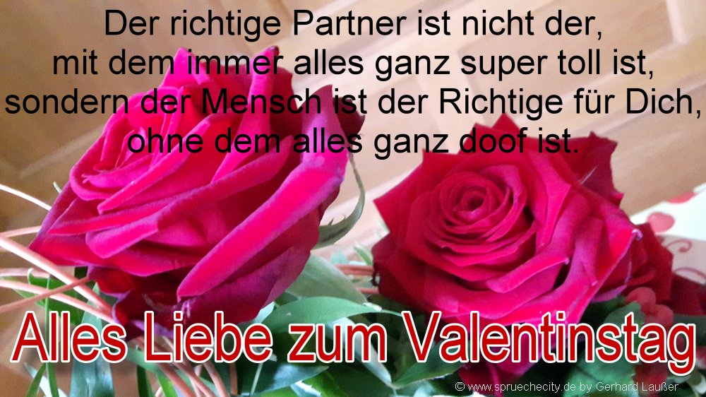 Lustige Valentinstag Sprüche Für Partner Kurze Texte Zitate