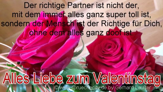 sprüchebilder-valentinstag-liebe-zitate-kurzer-spruch-partner